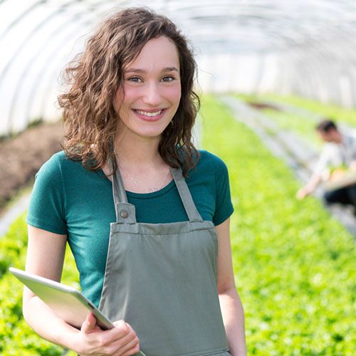 Odoo-Bild- und -Textbaustein