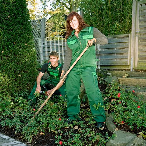 Odoo-Bild- und -Textbaustein