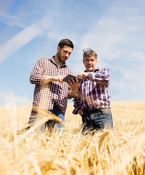 Odoo-Bild- und -Textbaustein