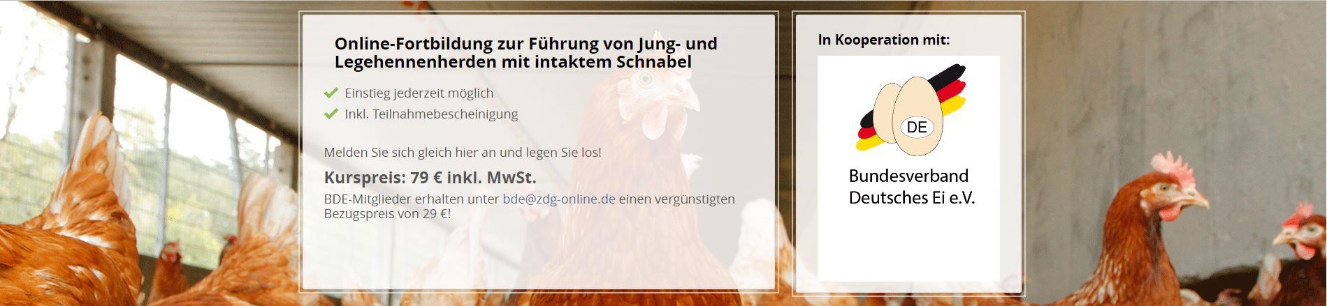 Odoo CMS – ein umfassendes Bild