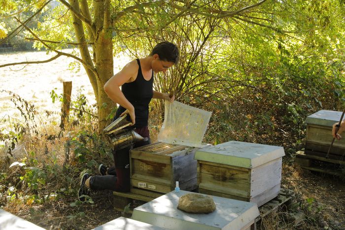 Ableger bilden mit Dr. Pia Aumeier (Kopie)