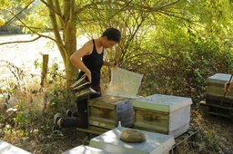 Ableger bilden mit Dr. Pia Aumeier (Kopie)